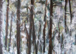 Winter Woods